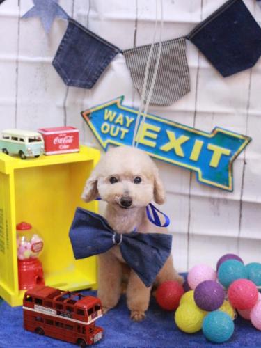 20230406佐あくびちゃん